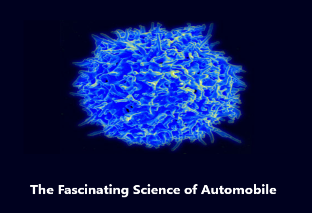 The Fascinating Science of Automobile