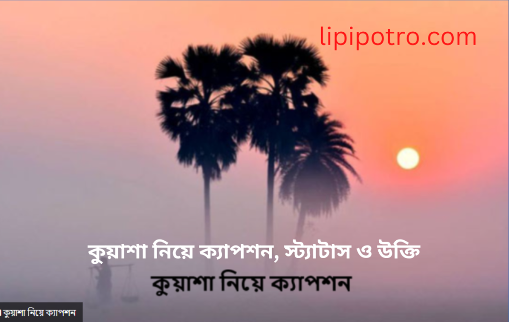 কুয়াশা নিয়ে ক্যাপশন, স্ট্যাটাস ও উক্তি