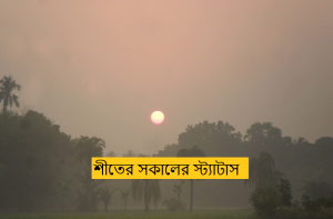 শীতের সকালের স্ট্যাটাস