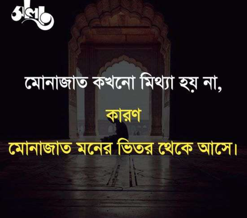 ইসলামিক প্রোফাইল পিকচার hd