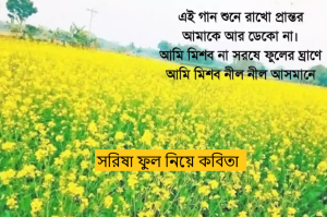 সরিষা ফুল নিয়ে কবিতা