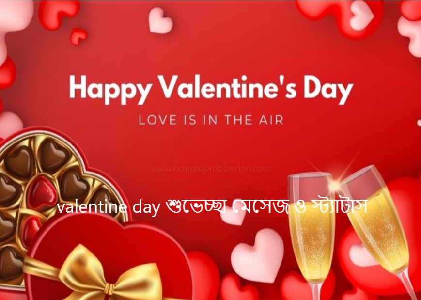 valentine day শুভেচ্ছা মেসেজ ও স্ট্যাটাস