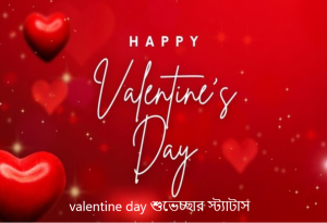 valentine day শুভেচ্ছার স্ট্যাটাস