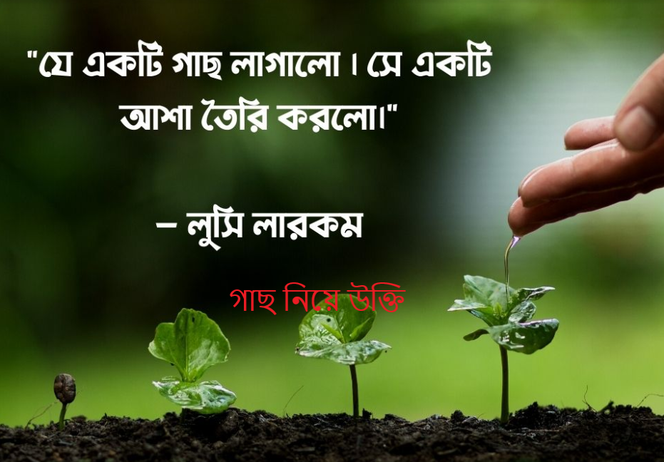 গাছ নিয়ে উক্তি