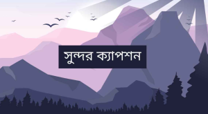 সুন্দরবন ক্যাপশন