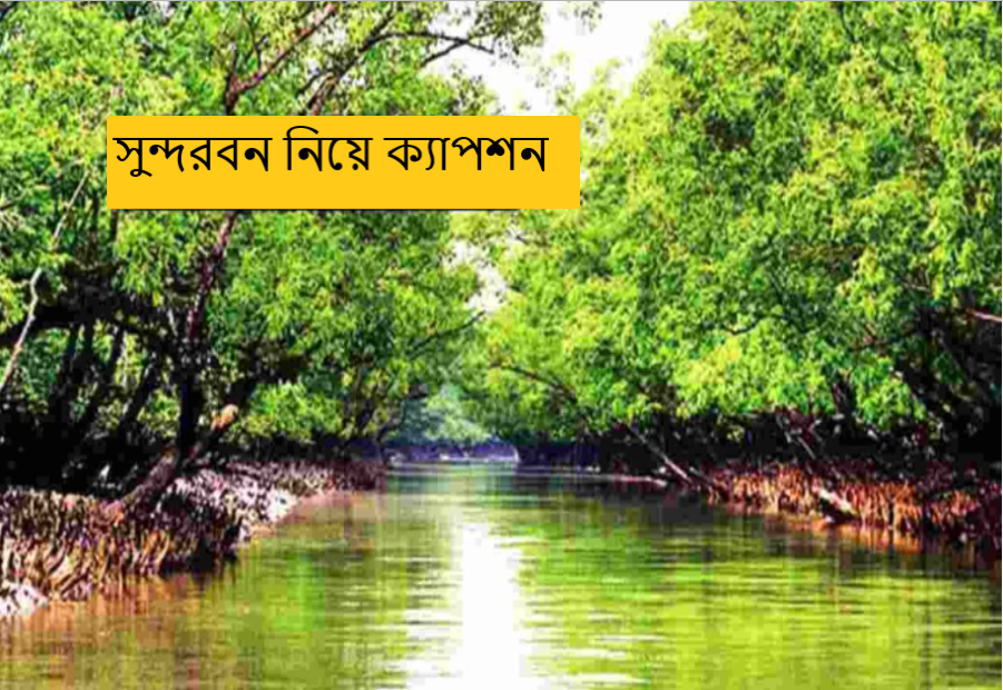 সুন্দরবন নিয়ে ক্যাপশন