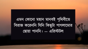 পাগল নিয়ে স্ট্যাটাস