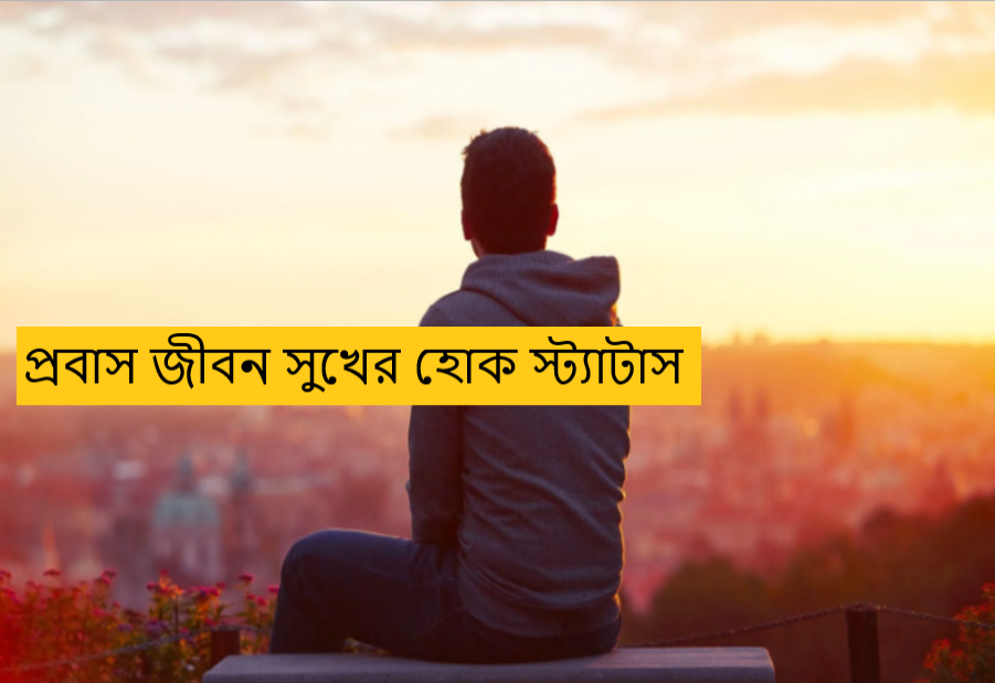 প্রবাস জীবন সুখের হোক স্ট্যাটাস