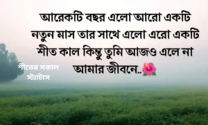 শীতের সকাল স্ট্যাটাস